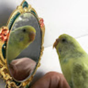 Meet your Posher, Madelyn